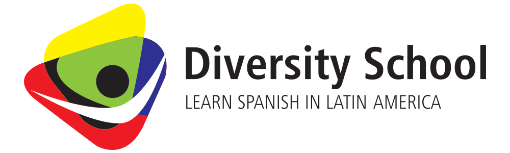 Diversity School Logo